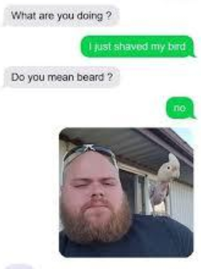 I shave my bird - meme