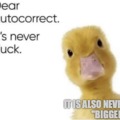 Duck it! Bigger tricks!