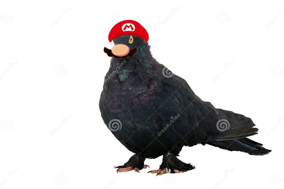 Mira una nueva transformación para Mario wonder - meme