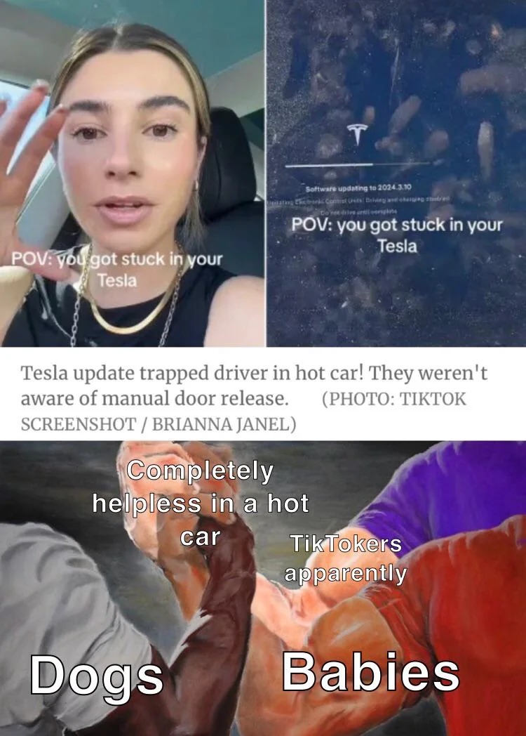 You got stuck in your Tesla - meme