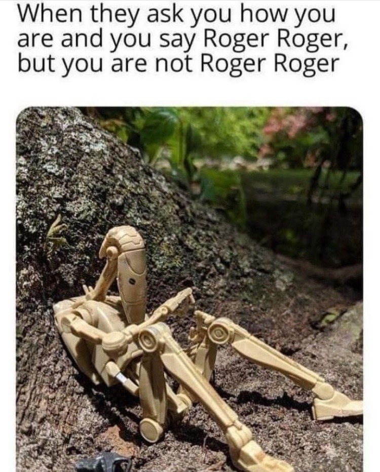 Roger…Roger.. - meme