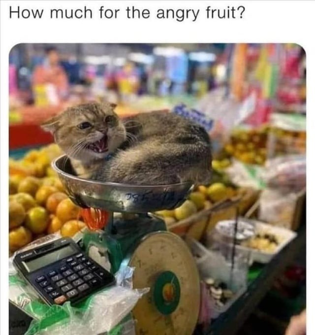 How much for the fruit that hates me - meme