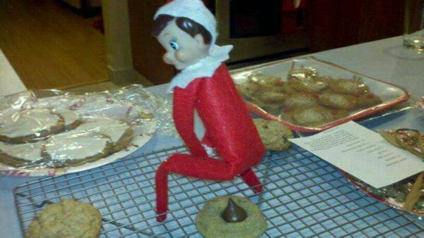 Elf on a cookie - meme