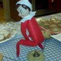 Elf on a cookie