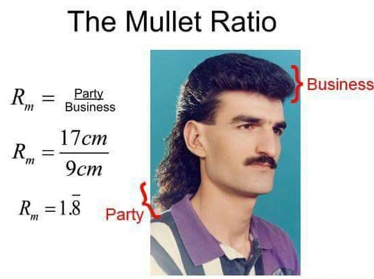 Mullets are important - meme