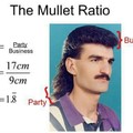 Mullets are important