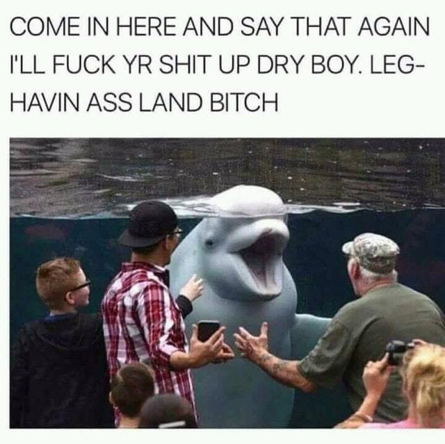 Angry beluga - meme
