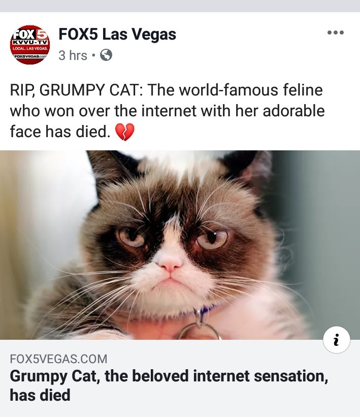 grumpy cat meme star wars