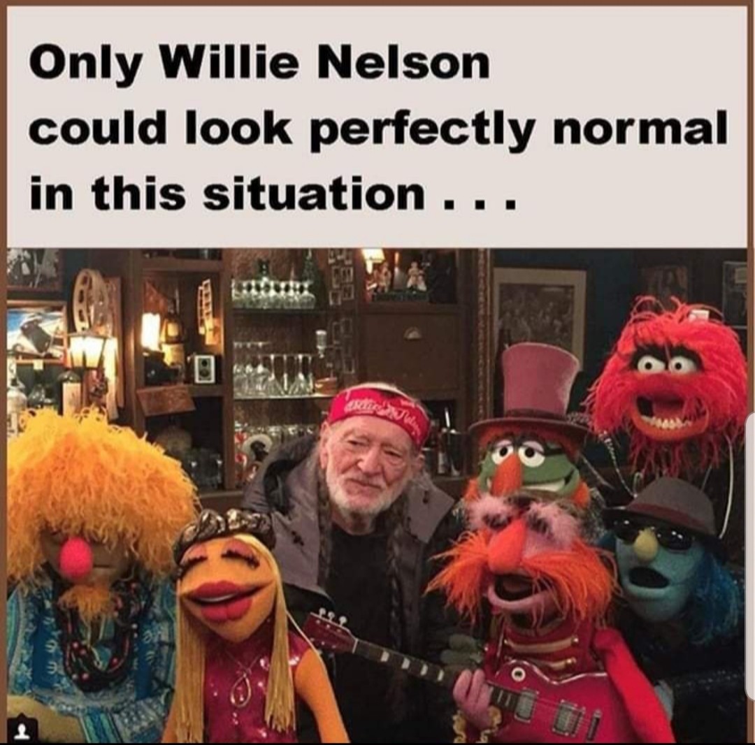 Willie - meme