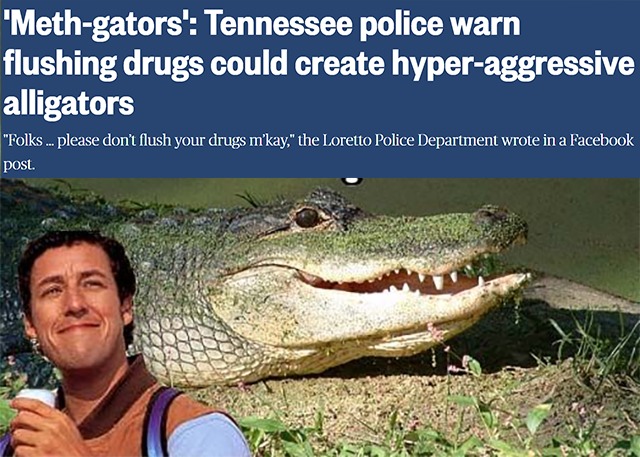 Them alligators 'ornry case all them teeth and no recovery options - meme
