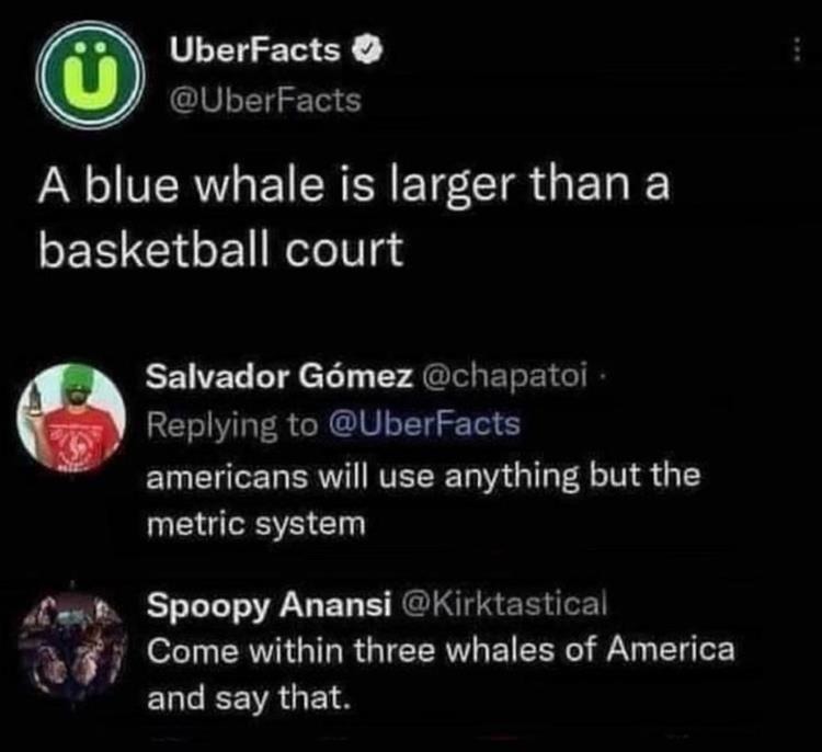 whale September meme