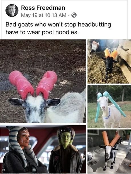 Goat people - meme