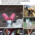 Goat people