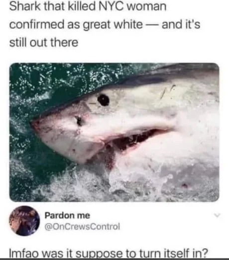 Shark news - meme