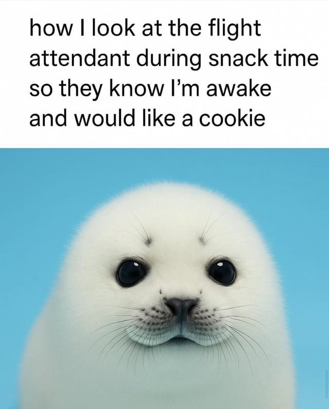 Me locking eye contact with the flight attendant so I get my cookie - meme