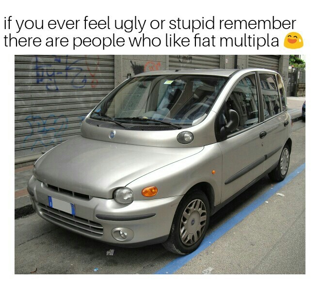 Fiat multipla - meme