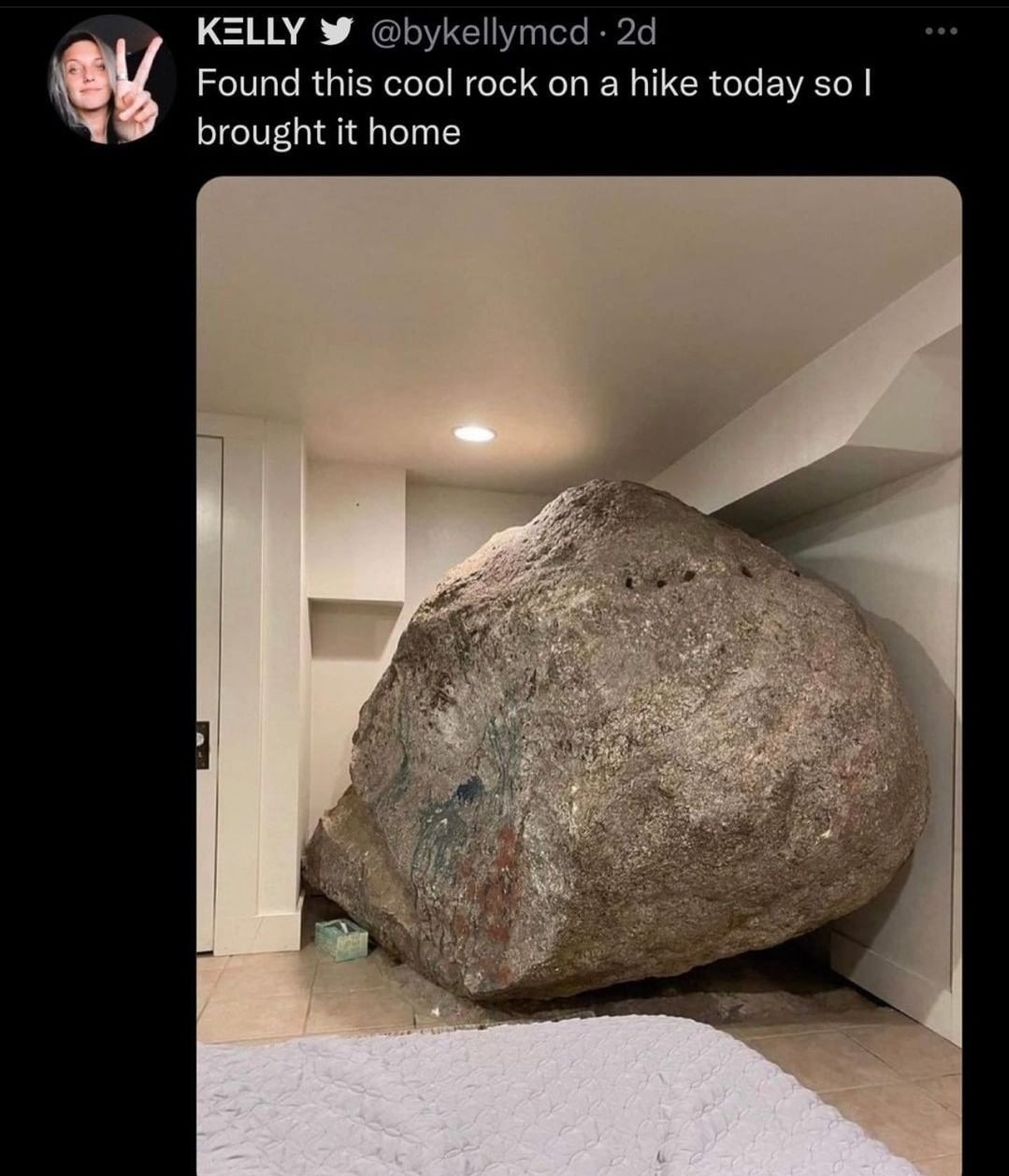 Nice rock - meme