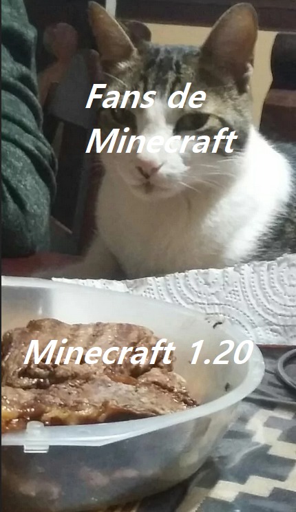 Minecraft 1.20 - meme