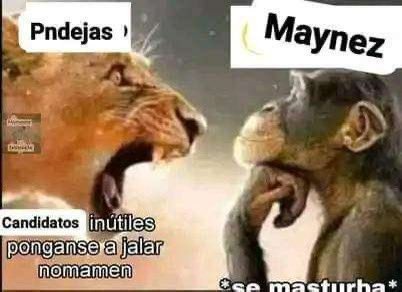 Maynez - meme