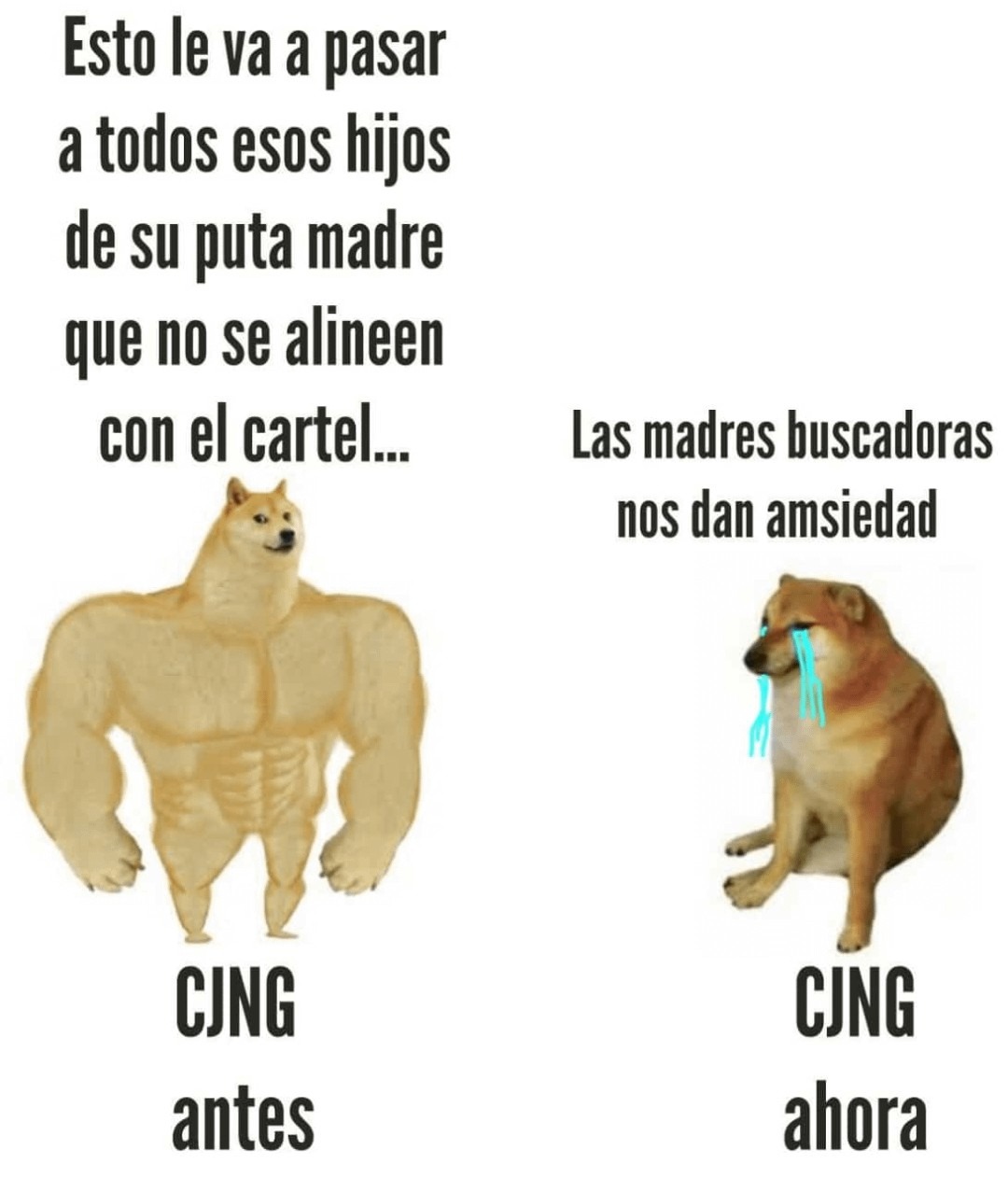 Esto le va a pasar a todos los que no se alineen con el cartel - meme