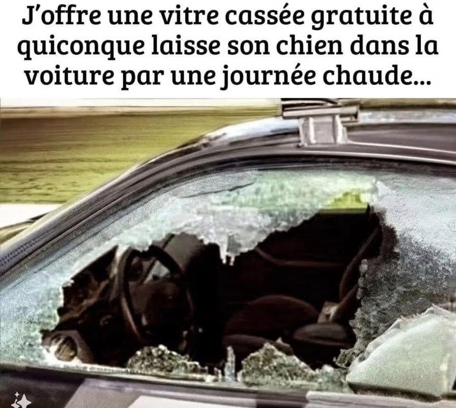 vitre cassée offerte si tu laisses ton chien en plein cagnard - meme