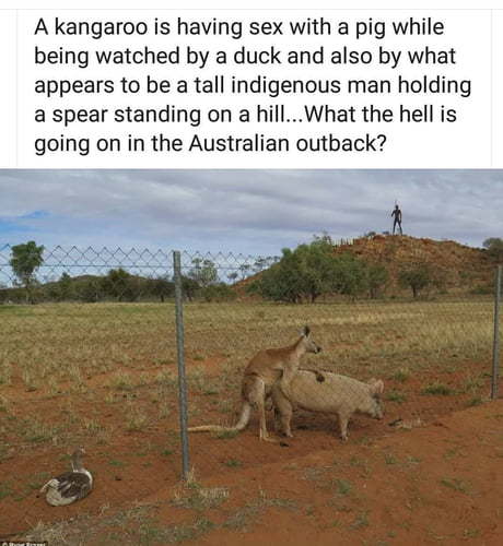 Ah yes... australia - meme