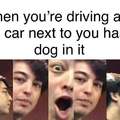 When you are driving and the car next to you has a dog in it