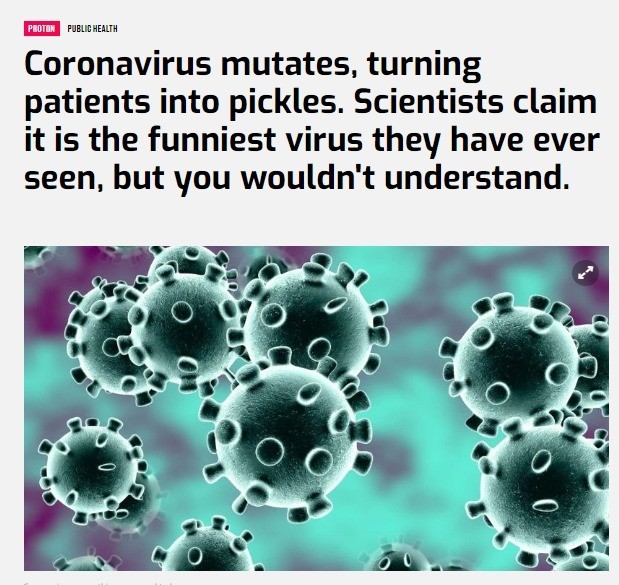 Funniest virus I've ever seen - meme