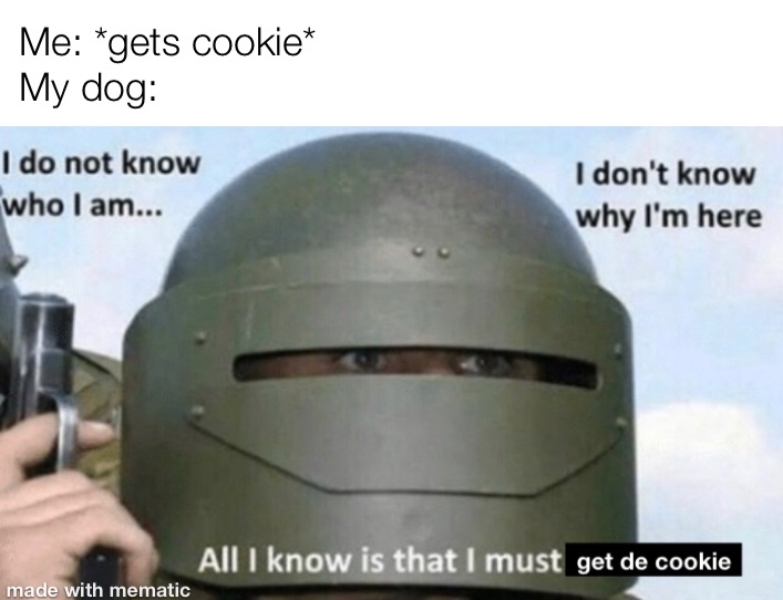 It was not chocolate chip - meme