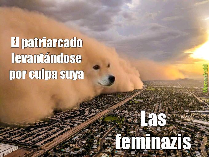 ARRIBA EL PATRIARCADO - meme