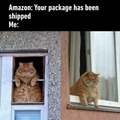 Where's package?