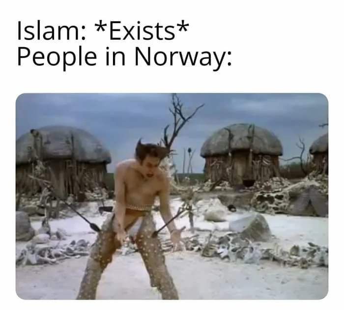 Norway goes brrr - meme