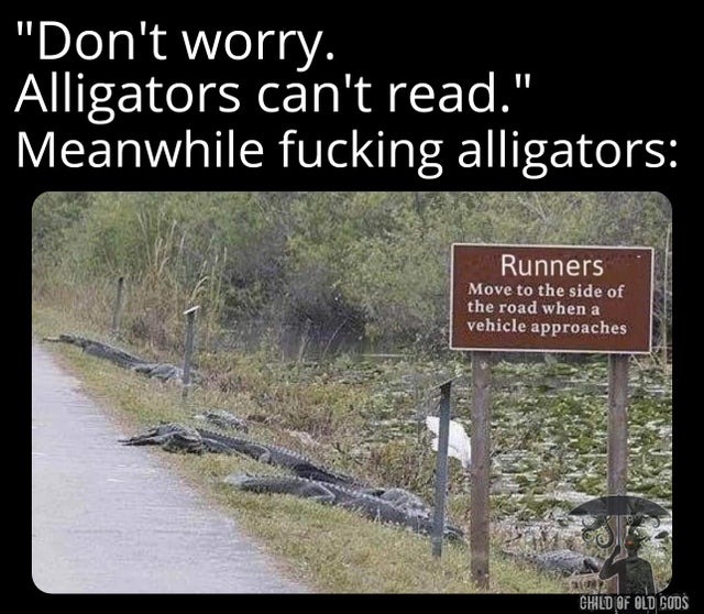 Alligators can read - meme