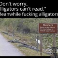 Alligators can read