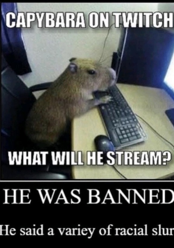 Relatable capybara - meme