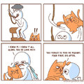 cats are selfish