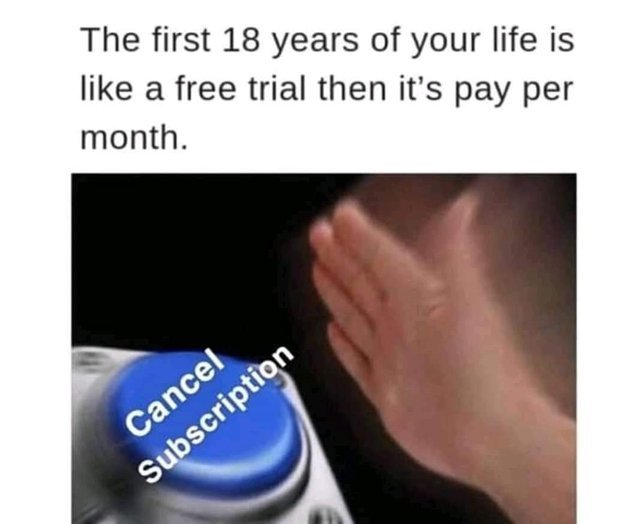 The first 18 years of your life are like a free trial then it's pay per month - meme