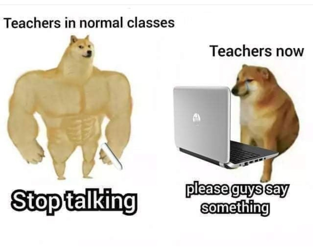 Teachdoge - meme