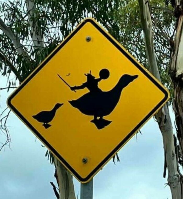 Pato - meme