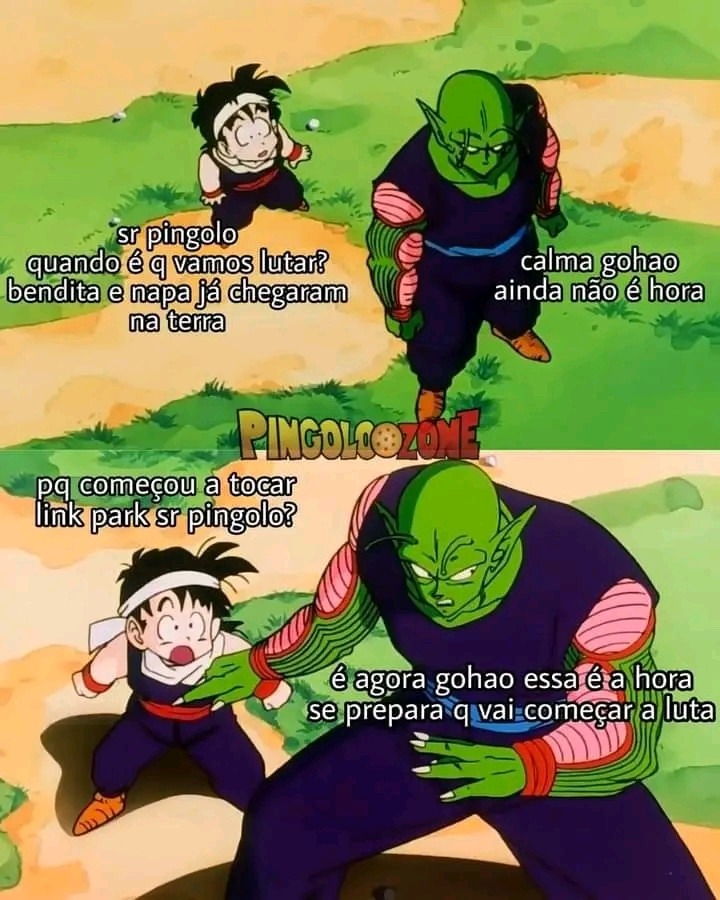 Pingolo - meme