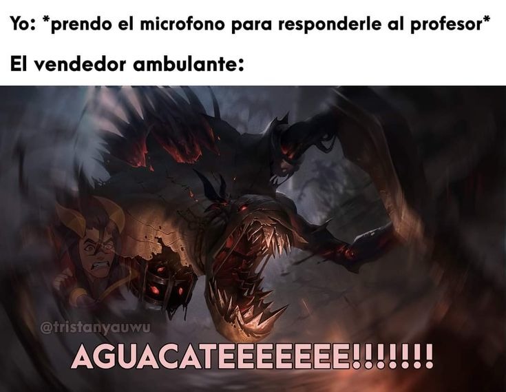Persea americana - meme