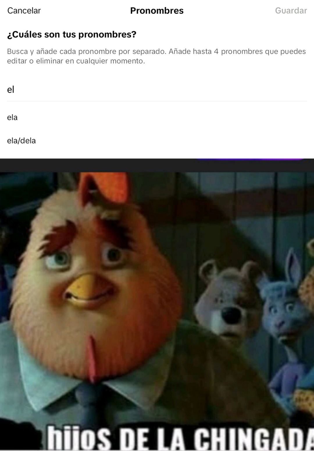 Puta madre contigo tiktok - meme