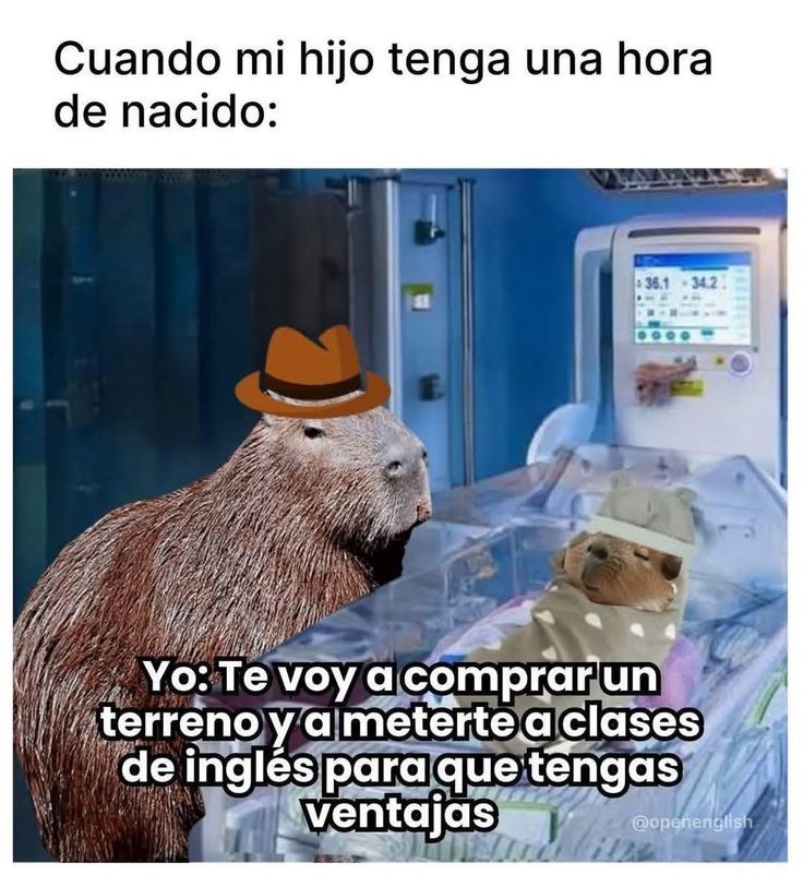 Carpincho - meme