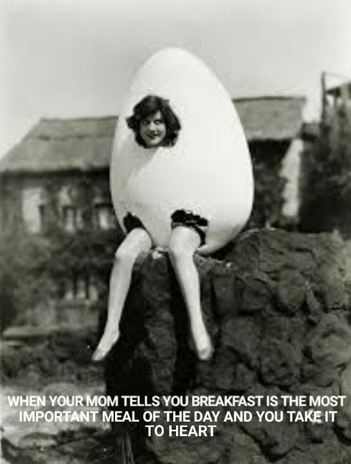 egg is life - meme