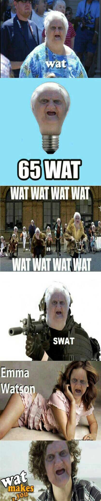 Wat Wat Wat wat - meme