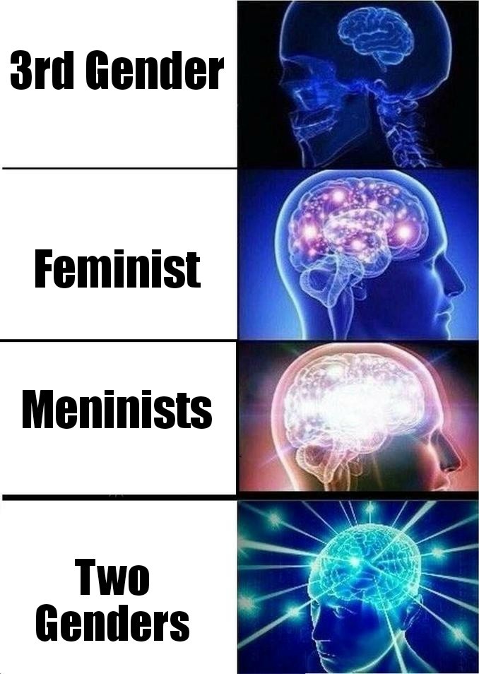 Title is feminist - meme