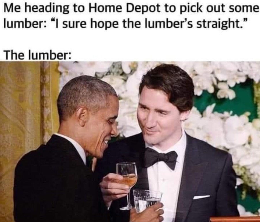 Liberal Leaders - meme