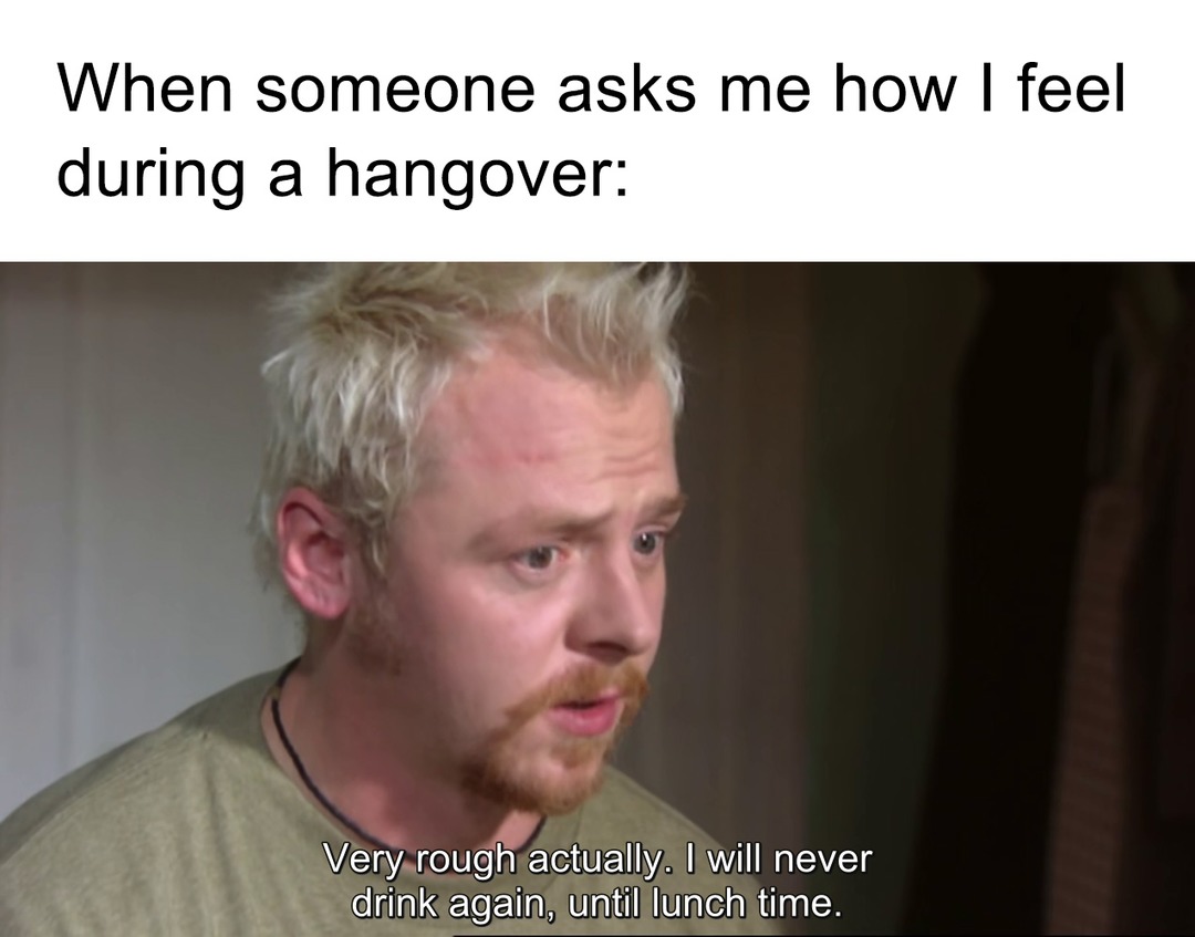Never drinking again... until noon - meme