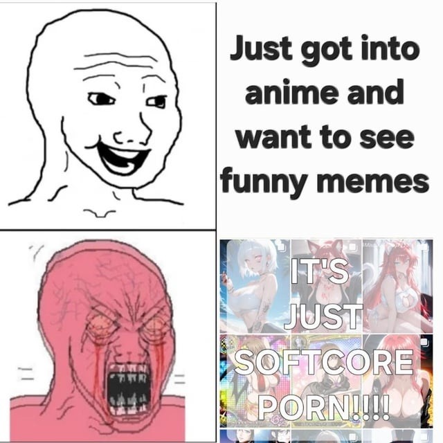 Started anime for the memes. Got jump scared by fanservice