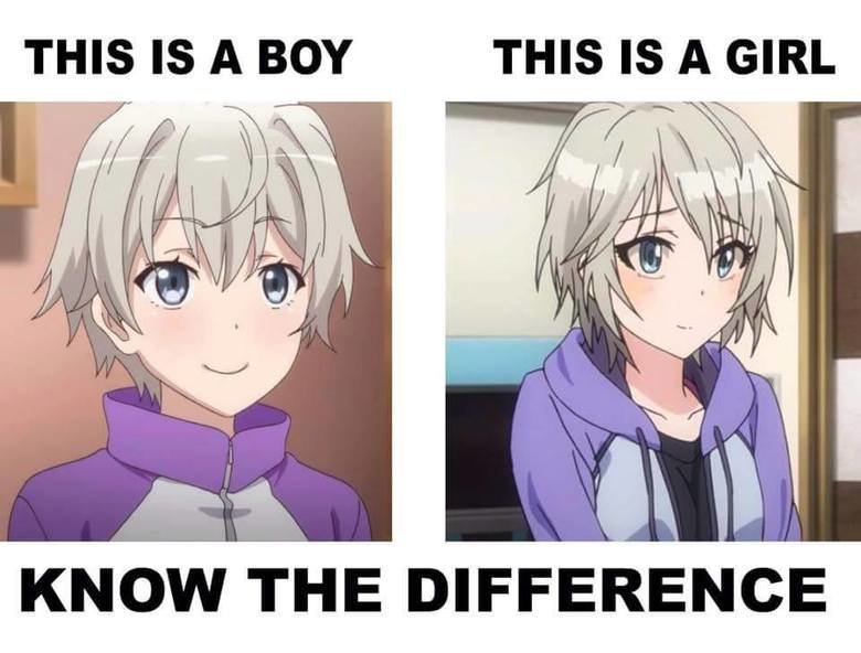 anime in a nutshell - meme